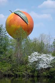 Located in the heart of greenville, south carolina. Fresh Sc Peaches Our South Carolina State Fruit