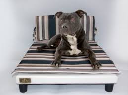 Vendo brandina per cani di grande taglia facilmente lavabile a 60 euro cad.1 per info contattarmi al n 3397458875. Le Migliori Brandine Per Cani Classifica E Recensioni Di Giugno 2021