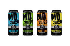 Md 2020 Winter Design Studio