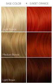 Sunset Orange Arctic Fox Hair Color Arctic Fox Hair Dye Fox Hair Dye