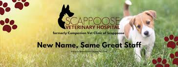 Sourcing the finest food, accessories, and toys, we have options fit for a variety of animals from guinea pigs to chickens, and we even have small pets, fish and reptiles available for purchase. Scappoose Veterinary Hospital Home Facebook
