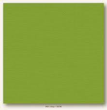 Drinks that are this popular. My Mind S Eye My Colors Cardstock Canvas 12 X12 Mint Julep
