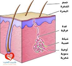 رائحة الجسم الكريهة أسباب رائحة الجسم الكريهة علاج رائحة الجسم الكريهة