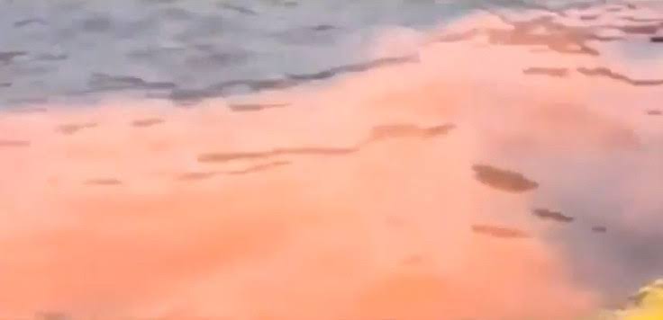 Blood Red Bondi Beach Triggers Alarm | IBTimes UK