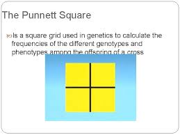 Some of the terminology you'll come across when dealing with genetics can be confusing, so we'll start by defining some terms and then put them all together to see how they relate. Mendels Law Of Inheritance Genotypes Phenotypes Punnett Square