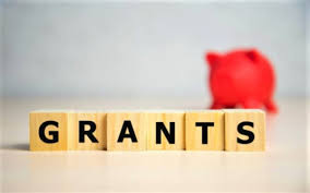 2021 Government Grants For Small Businesses In Qld