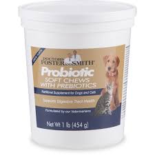 We all have bacteria in our gut, and most of it is essential, good bacteria that keep our gut ticking over and working at optimal levels. Drs Foster And Smith Probiotic Soft Chews With Prebiotics For Dogs And Cats 1 Lb Petco