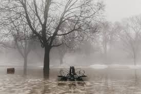 There were other parks in the city where people were spread out and just chilling in the open. Trinity Bellwoods Park Looked A Little Post Apocalyptic This Morning