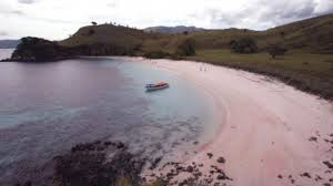 Check spelling or type a new query. Pasir Pink Beach Di Flores Berwarna Merah Muda Ini Alasannya Tribun Travel