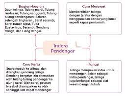 Kunci jawaban kelas 4 sd tema 9 subtema 2 di halaman 100, 101, 103, 104, 107 dan 112 mengenai pelestarian lingkungan alam. Kunci Jawaban Buku Kelas 4 Sd Pembelajaran 3 Tema 1 Subtema 2 Robihartoni