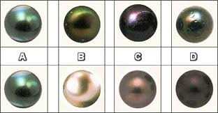 Pearl Grading Chart Learn To Choose A Pearl