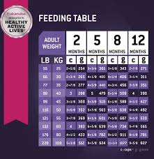 Eukanuba Feeding Chart Large Breed Best Picture Of Chart