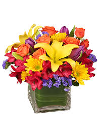 When selecting get well soon flowers for your loved ones, there are many options to choose from. Get Well Flowers From Mount Pearl Florist Local Mount Pearl Nl Flori