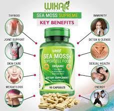 Sea moss, also known as irish sea moss, is an incredible superfood with a wide range of health benefits! Sea Moss Bladderwrack Burdock Root Health Benefits In 2021 Sea Moss Moss Irish Sea