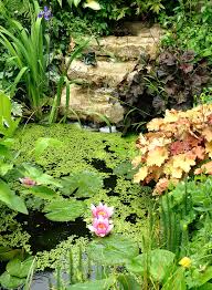 On appelle image d'un point a le point a' où se rencontrent, après passage par d'un objet plan, schématisé par un segment ab, la lentille donne une image a'b' dont il est possible. Lentille D Eau Planter Et Cultiver Ooreka