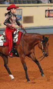 We did not find results for: 540 Idees De Western Parade En 2021 Cheval Selle Western Selles Western
