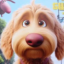 L E O 🐶 (@leo.da.labradoodle) • Instagram photos and videos