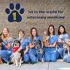 Jas mattu, our veterinary team is proud to continue a tradition of excellence and compassionate animal care for cats and dogs. 1