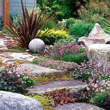 Psst— drought tolerant penstemon are a hummingbird favorite. Create An Inviting Landscape With This Drought Tolerant Slope Garden Plan Sloped Garden Drought Tolerant Landscape Drought Tolerant Garden