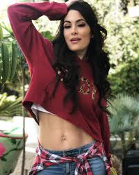 Brie bella is no longer femme antagonist from wwe who hires her husband, daniel bryan. Best 30 Brie Bella Fun On 9gag