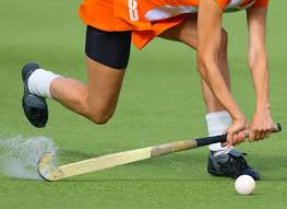 Check spelling or type a new query. Hockey Quick Guide
