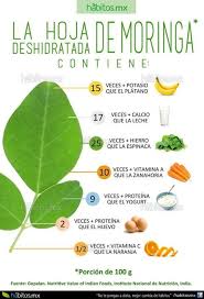 Habitos Health Coaching La Hoja De Moringa Coconut Health Benefits Fruit Health Benefits Moringa Benefits