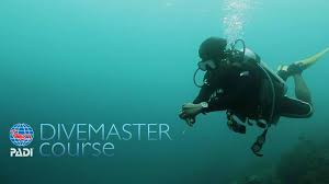 One of the reasons is that locals will have grown up and learned to dive on the local. Book Your Dive Reserve A Slot At Bermuda Scubadiving Center Dubai Uae