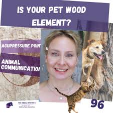 Wood Element Personality Lesson & Cat/Dog Acupressure Points!