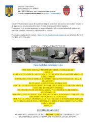 Valul lui traian de sus la cupeni. Primaria Valu Lui Traian Si Primaria Valu Lui Traian Facebook