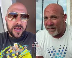 Goldberg's WWE protection and Roman's 2022 match