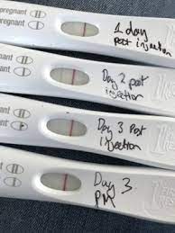 Testing Out Pregnyl 1500 Boosters Anybody With Me Assisted Conception Babycenter Australia
