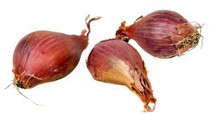 Garden flower identification will help you take the best possible care of your plants. Bulb Wikipedia