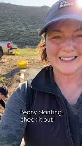 Honeycrisp & McIntosh apples 🍏 are ready! We have a number of other  varieties too. Check our Fruit page