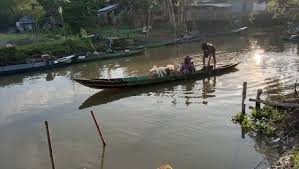 Located in ambarawa, semarang, central java, indonesia. Kehidupan Menantang Warga Kampung Rawa Dermalang