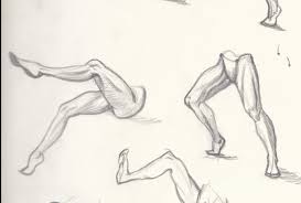 Check spelling or type a new query. Dynamic Anatomy For Artists Muscles Of The Leg Robert Marzullo Skillshare