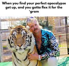 I made a tiger king meme. Pin On Funny Memes