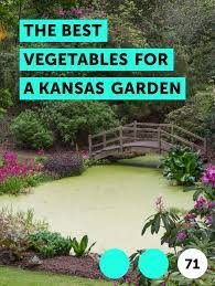 Learn The Best Vegetables For A Kansas Garden How To Guides Tips And Tricks Pepper Plants Bamboo Plants Plants