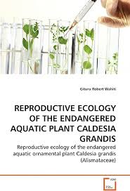 Image result for Caldesia