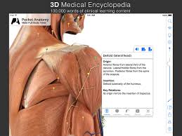 Similar courses for anatomy & physiology include 8 Best Ios Anatomy Apps As Of 2021 Slant