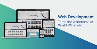 I Will Create Professional Wordpress Website Or Design Website Development Web Development Design Web Development Company