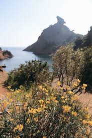 Un Restaurant Dans La Calanque De Figuerolles La Ciotat Calanque La Ciotat Photos