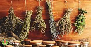 Harvest from the top down. Drying Herbs 4 Easy Methods To Preserve Your Herb Harvest