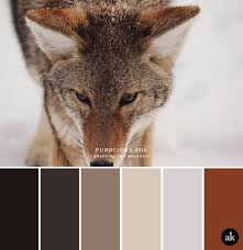 30 Receiving Color Palettes Inspired By Animals You Can Actually Use Hobby Lesson Black Color Palette Brown Color Palette Tan Color Palette