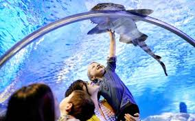 Find dozens of creative games and activities to help you entertain and but what if you've got a toddler in tow? 22 Free Inexpensive Family Activities Meet Minneapolis