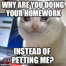Top Laughing So Hard Cat Memes Cat Memes Imgur Cat Quotes Funny Cat Memes Funny Cat Memes