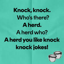 123 of the funniest knock knock jokes for adults and kids that will leave  you HOWLING with laughter