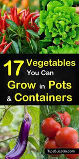 17 Vegetables That You Can Grow In Pots And Containers Growing Vegetables In Pots Container Gardening Vegetables Home Vegetable Garden