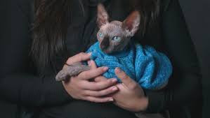 Is there a pet emergency center in skagit county? Virgin Media Player Animal Emergency Sunday 18th Apr 8 00pm