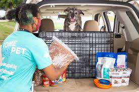 .hilham hixson hohenwalk holladay jackson jacksonboro jamestown jefferson city joelton johnson city jonesborough kingsport kingston kingston springs knoxville kodak la vergne lafayette lafollette lake city lakeland lancing lascassas lavergne lawrenceburg. Surrendering Animals