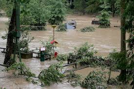 Der starkregen und das hochwasser haben auch die alte mühle von angelika kämper und rudolf disch getroffen. Nach Hochwasser Raubkatzen Durfen Im Eifelzoo Bleiben Kolnische Rundschau